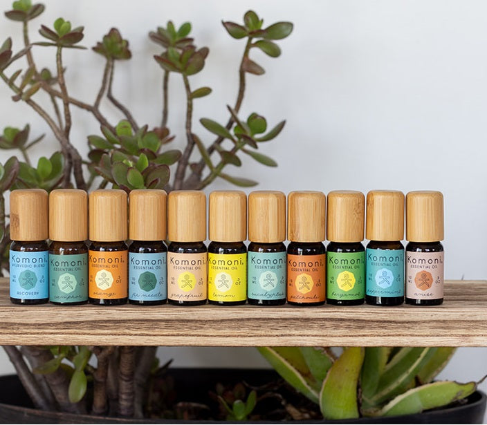 Colorful bottles of pure essential oils in a row in front of a plant