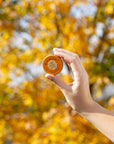 Tin of UPLIFT everything lip and skin pocket-sized salve held up in a hand against a background of matching fall colored leaves.