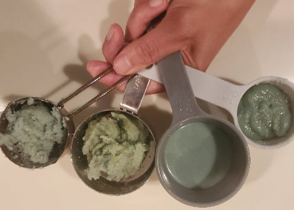 Measuring cups showing various mixed concentrations of spinach leaf powder