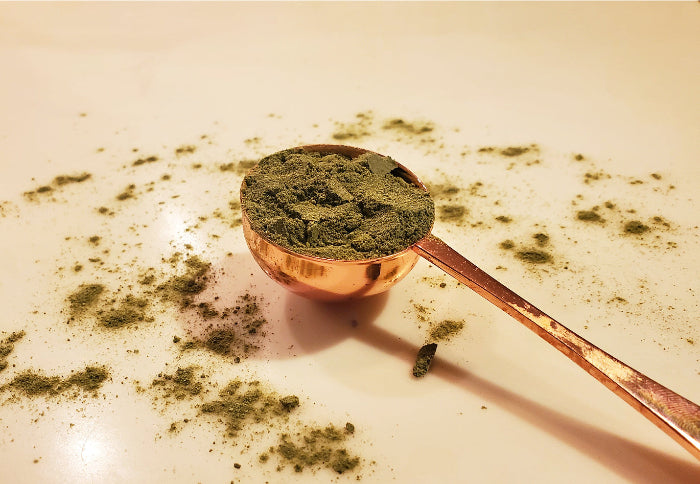 A brass measuring spoon filled with natural, dried Spinach (Spinacea Oleracea) Powder.